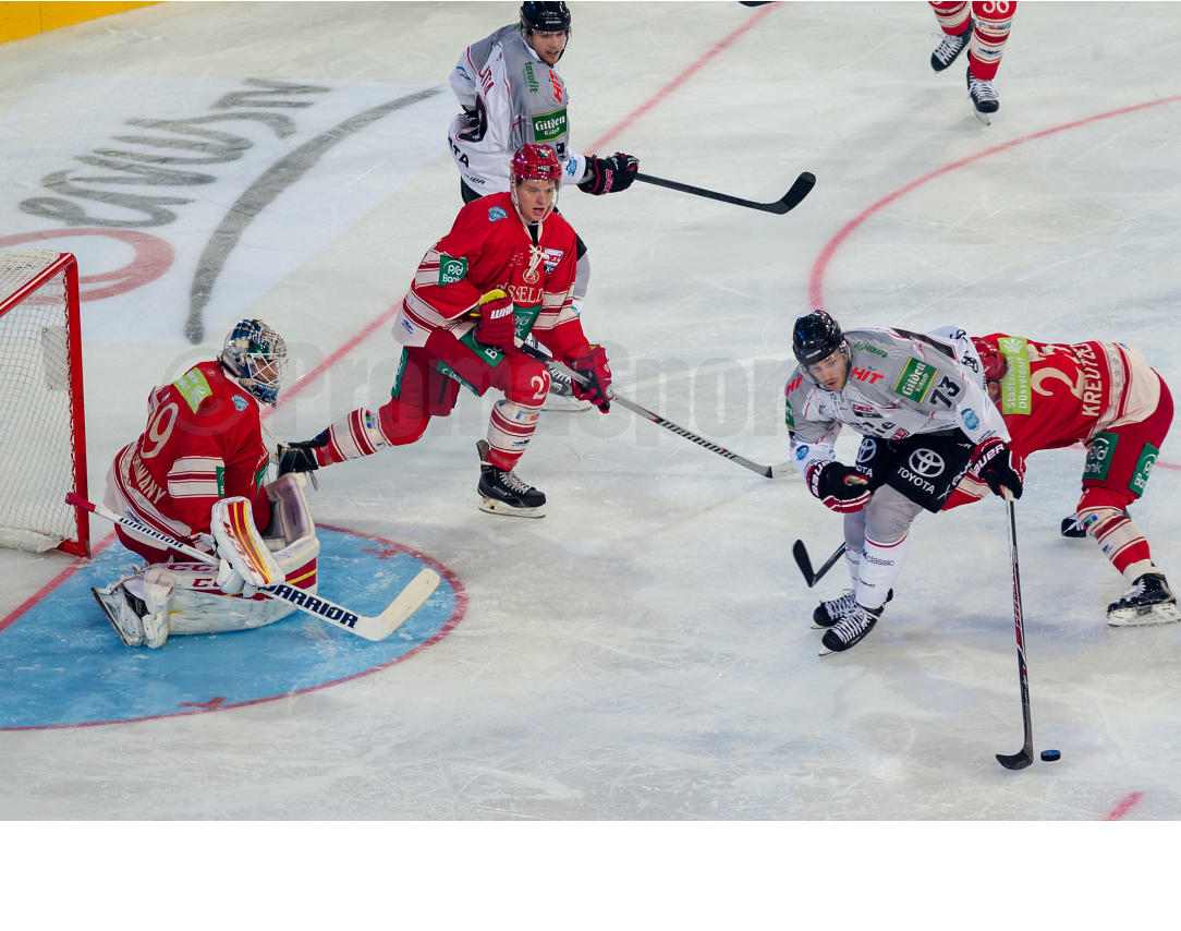 2. DEL Winter Game Düsseldorfer EG / Kölner Haie