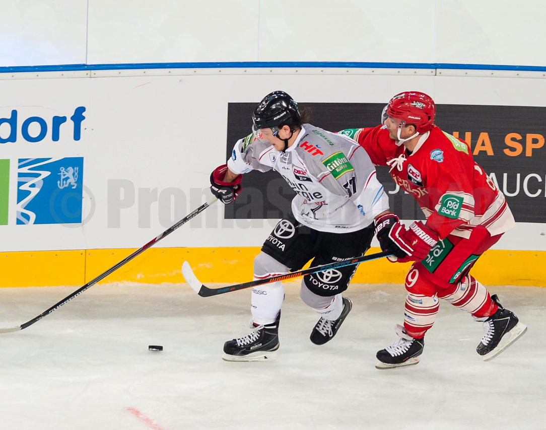 2. DEL Winter Game Düsseldorfer EG / Kölner Haie