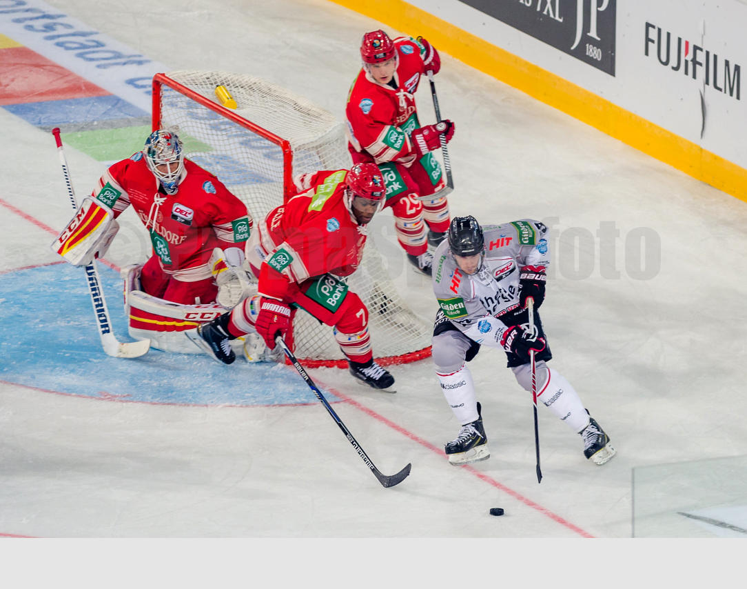 2. DEL Winter Game Düsseldorfer EG / Kölner Haie