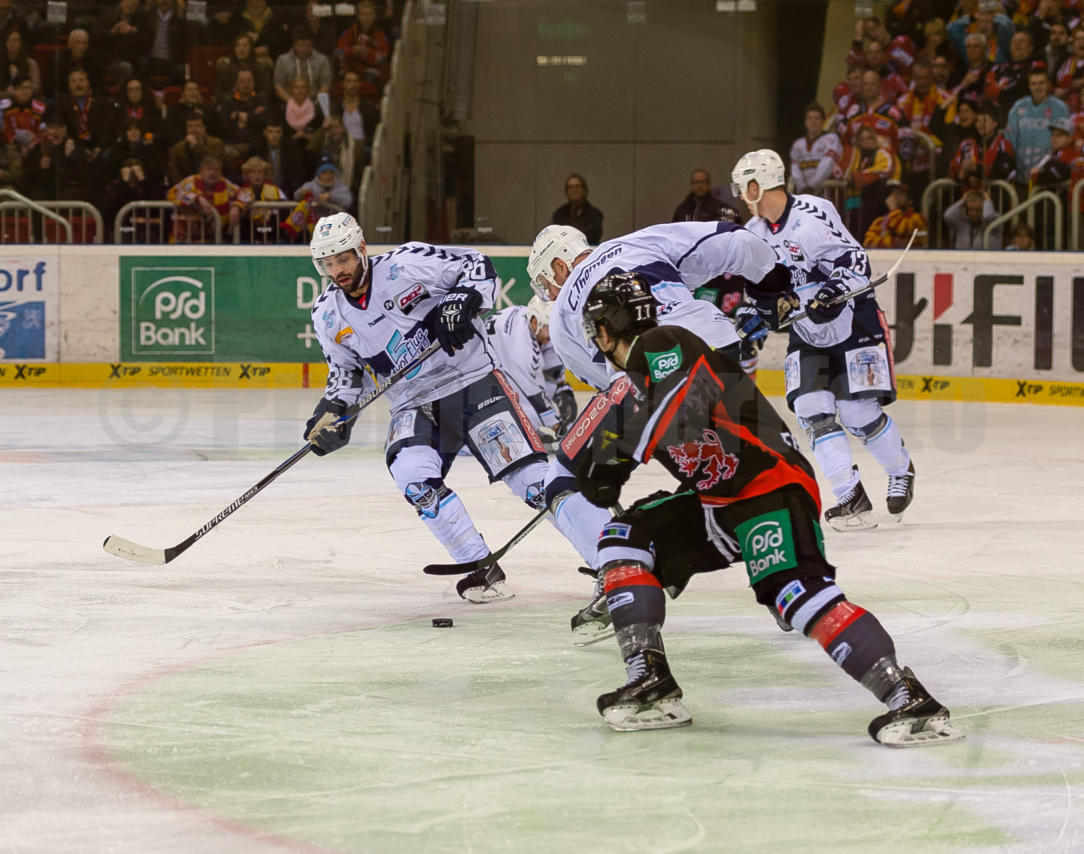 Playoffs Viertelfinale Düsseldorfer EG / Hamburg Freezers