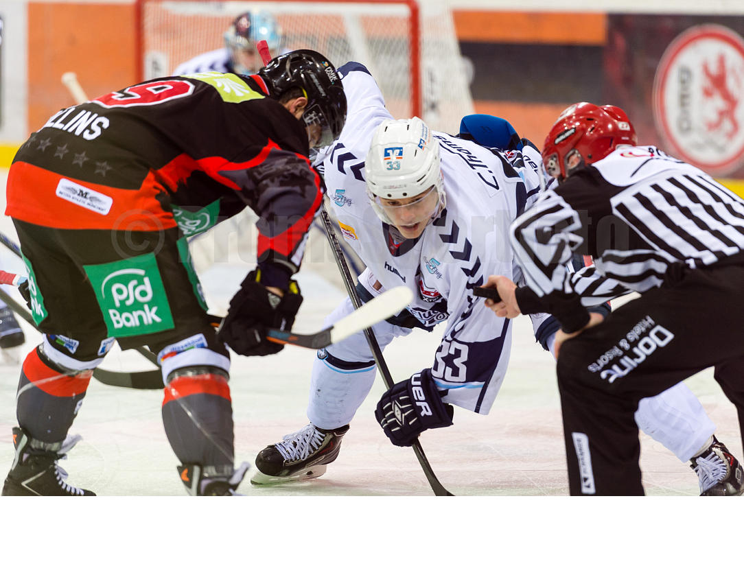 Playoffs Viertelfinale Düsseldorfer EG / Hamburg Freezers