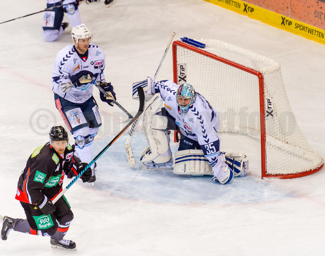 Playoffs Viertelfinale Düsseldorfer EG / Hamburg Freezers