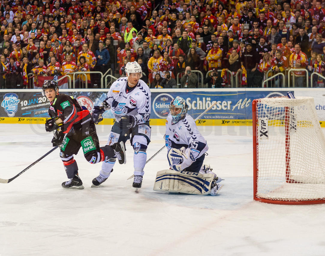 Playoffs Viertelfinale Düsseldorfer EG / Hamburg Freezers