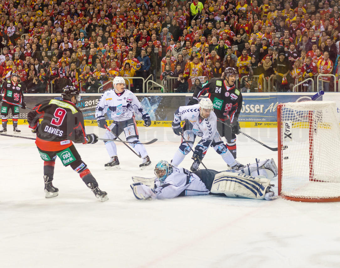 Playoffs Viertelfinale Düsseldorfer EG / Hamburg Freezers