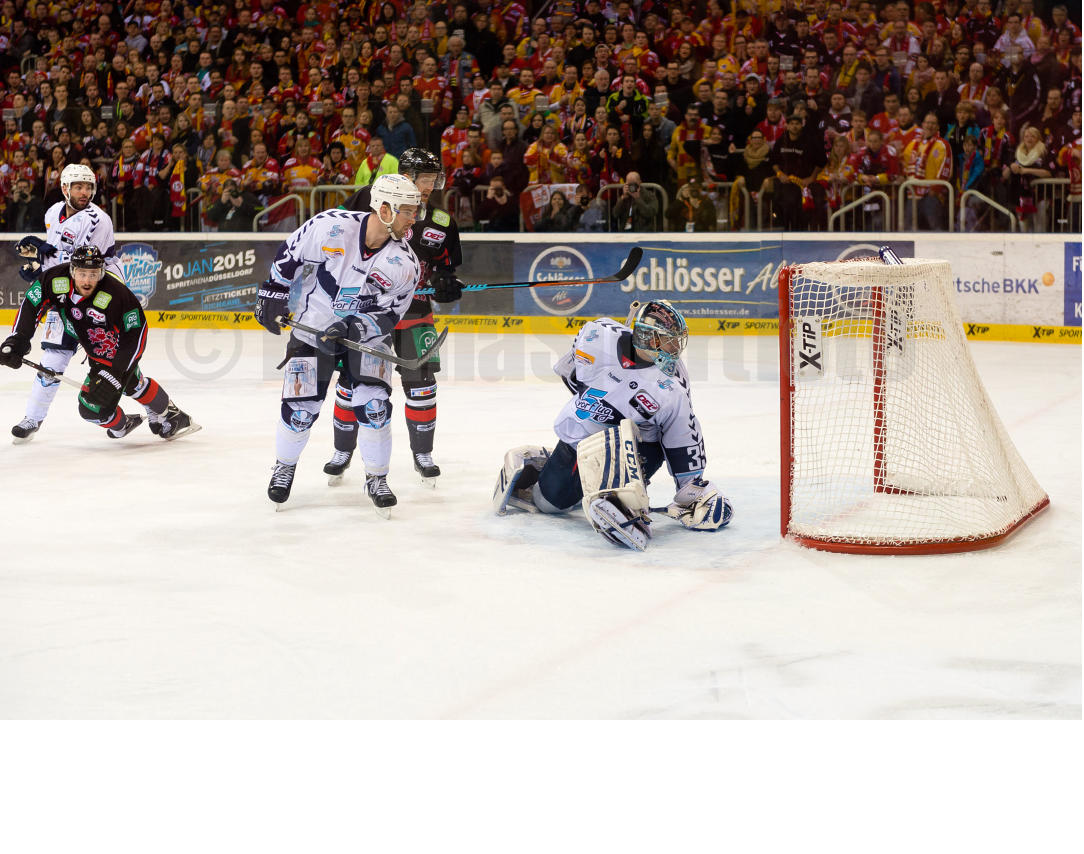 Playoffs Viertelfinale Düsseldorfer EG / Hamburg Freezers