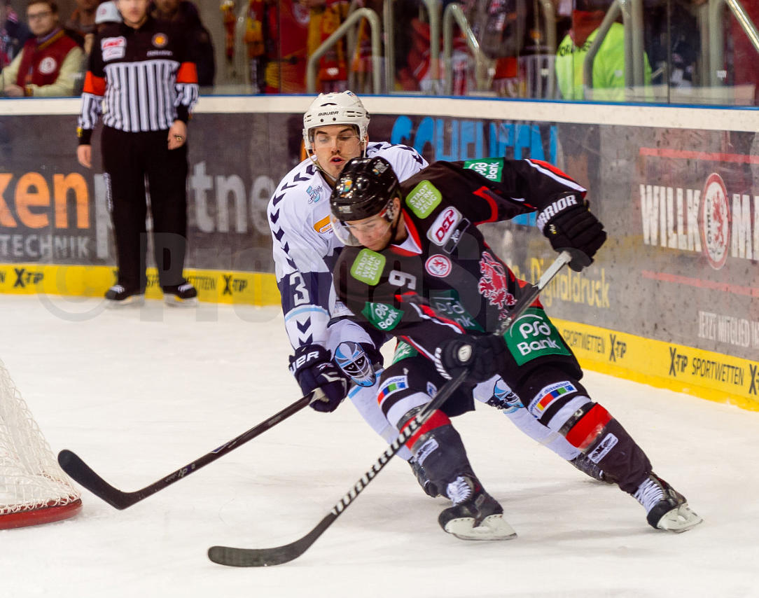Playoffs Viertelfinale Düsseldorfer EG / Hamburg Freezers