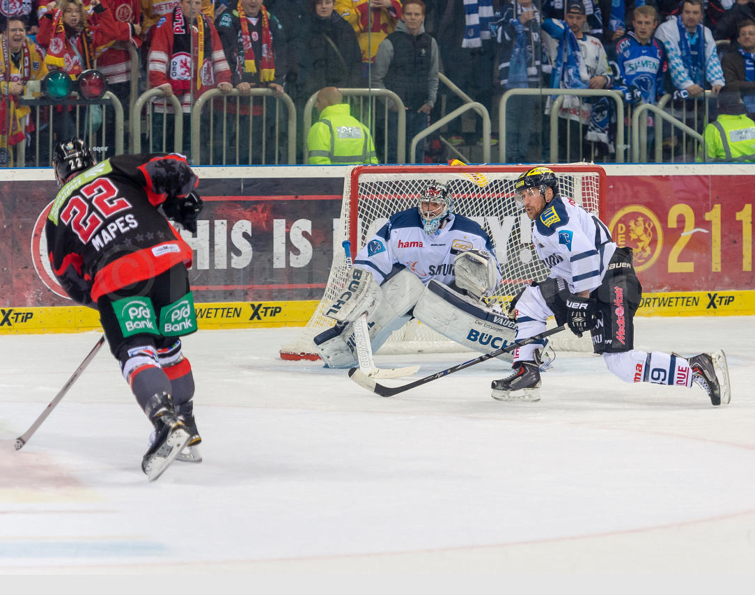 Playoffs Halbfinale Düsseldorfer EG / ERC Ingolstadt