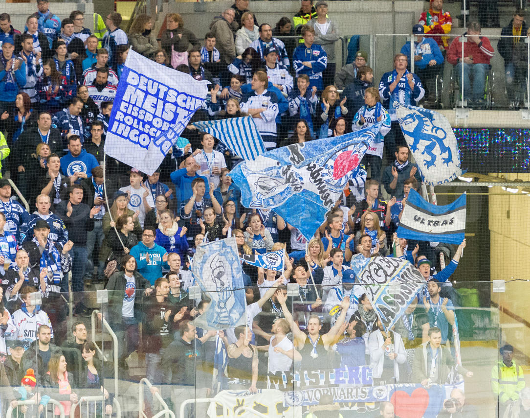Playoffs Halbfinale Düsseldorfer EG / ERC Ingolstadt
