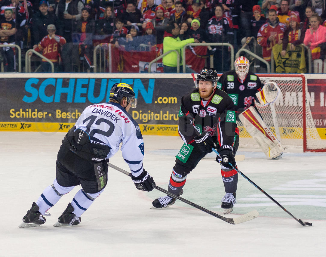 Playoffs Halbfinale Düsseldorfer EG / ERC Ingolstadt