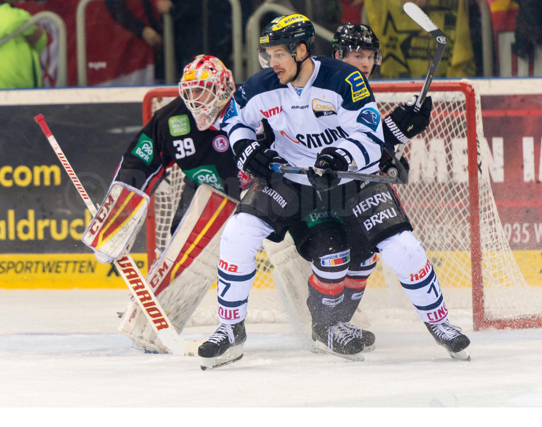 Playoffs Halbfinale Düsseldorfer EG / ERC Ingolstadt